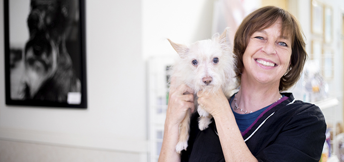 Bathing & Grooming, Clemmons Vet