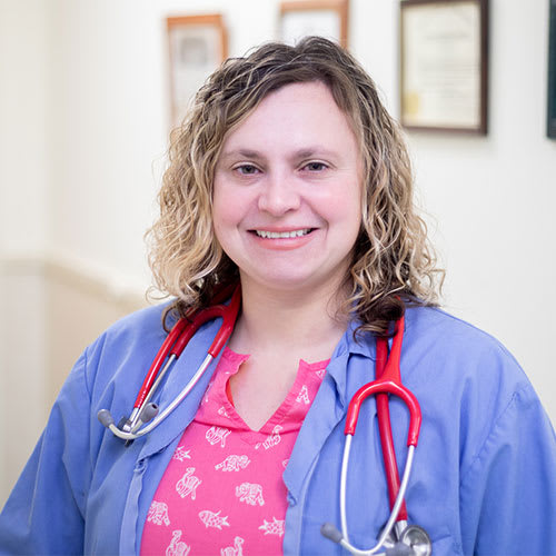 Dr. Amy Pugh | Animal Hospital of Clemmons | Winston-Salem Veterinarian