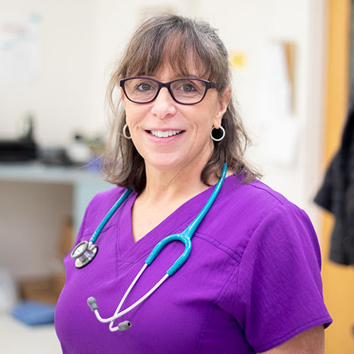 Dr. Jackie Martin | Animal Hospital of Clemmons | Winston-Salem Veterinarian