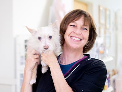 Grooming for Dogs & Cats in Clemmons